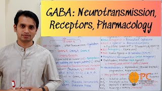 GABA Pharmacology Neurotransmission Receptors and Pharmacology  GABA Receptor Pharmacology [upl. by Ielak564]