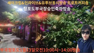 제96회1월13일토요일트로트커피숍부국청포도🌹구독좋아요👍알림설정🔔 [upl. by Wilen]