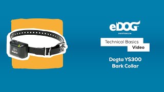 Get Started with the DOGTRA YS300 No Bark Collar for Small to Medium Dogs  eDog Australia [upl. by Zaraf690]