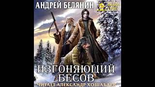 ИЗГОНЯЮЩИЙ БЕСОВ Андрей Белянин АУДИОКНИГА [upl. by Ayotna733]