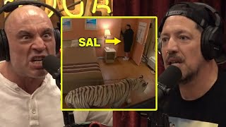 INSANE Prank That Could Have Ended Sals Life  Joe Rogan amp Sal Vulcano [upl. by Ylrebmyk725]