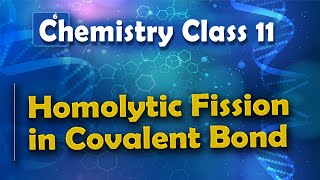 Homolytic Fission in Covalent Bond  Basic Principle and Techniques in Organic Chemistry  Chemistry [upl. by Einiffit]