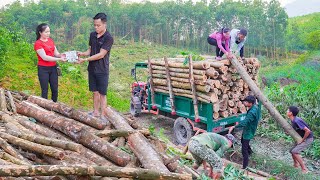 Buy Wood From Villagers On High Hills and Use Trucks To Transport and Sell To Traders  Daily Farm [upl. by Carmencita183]