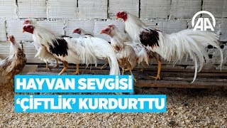 Hayvan sevgisi quotçiftlikquot kurdurttu [upl. by Ennahtur]