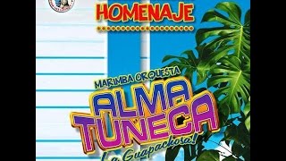 ALMA TUNECA 2015  PALANGANA MIX [upl. by Krever]