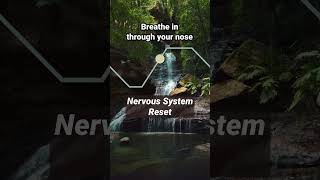 Nervous System Reset relaxing breathingexercise [upl. by Nahoj]