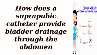 How does a suprapubic catheter provide bladder drainage through the abdomen [upl. by Lewie]