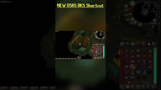 NEW OSRS DKS Shortcut gaming osrstips [upl. by Mensch641]