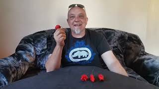 MUST WATCH Me vs Carolina Reaper from Ultibro Farms 100 Pure EVIL [upl. by Latini423]