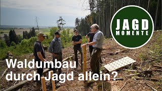 Revierleben  APRIL  Kanzelbau Waldbau und Kitzrettung [upl. by Eleets]