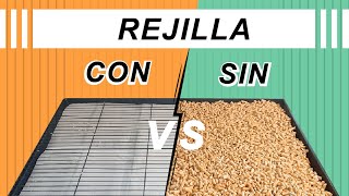 🦜 BASE de la JAULA 🤔 por qué NO debería tener REJILLA 🚫🙅‍♀️ [upl. by Niloc]