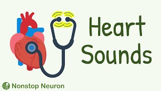 How the Heart DHAK DHAKs Heart Sounds Explained with the Most Accurate Animations [upl. by Eibbob]