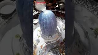 Ujjain Mahakal Sringaar❤️sanatandharma mahadev trending hindu religion shorts ytshorts viral [upl. by Ferino]