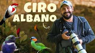 Ciro Albano  Brazil Birding Experts  Biography [upl. by Anura]