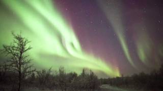 Northern LightsAurora in Norway  in timelapse [upl. by Adnyl620]