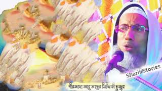 Cholua Chole k dekhe┇চলো চল কে দেখে┇Taher Siddiqui Notun gojol┇পীরজাদা আবু তাহের সিদ্দিকী সাহেব [upl. by Eirehs]