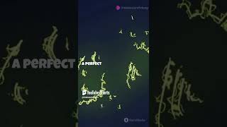 How Do Bacteria Reproduce  Quick Science Explainer biology biofacts facts cellbiology dj [upl. by Hervey659]