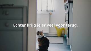 Kattenbak schoonmaken Hoe vaak moet ik de kattenbak verversen [upl. by Uohk]