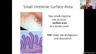 hbio18d small intestine 12 min [upl. by Ednihek]