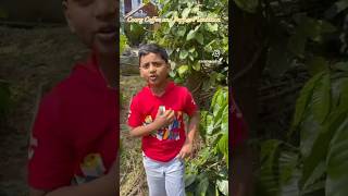 Coorg Coffee and pepper plantation  ShrihanVihaan [upl. by Nuhsyar]