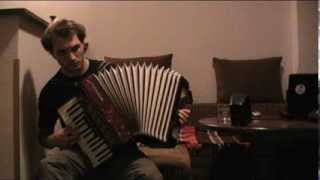 Nina Simone  Feeling Good  Accordion improvisation [upl. by Martita]