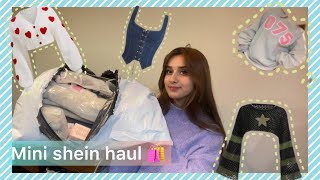 MINI SHEIN HAUL  Alishbah Anjum [upl. by Em]