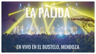 Gauchito Club  La Pálida  EN VIVO en Bustelo  Mendoza 2022 [upl. by Yerhcaz]