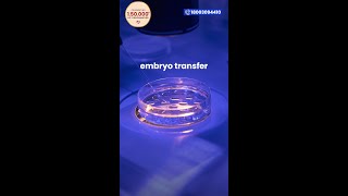 Is the embryo transfer procedure that simple [upl. by Iosep515]