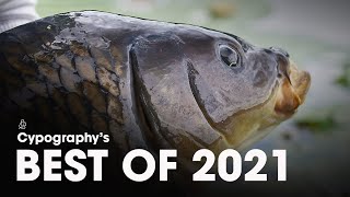 2 HOUR FILM  CYPOGRAPHYS BEST OF 2021 [upl. by Nnairak]