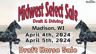 Draft Horse Sale  2024 Midwest Select Draft amp Driving Horse Sale [upl. by Jerroll]