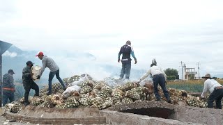 Así se cuece el mezcal en Oaxaca  Mezcal tierra de Jaguar [upl. by Godewyn815]