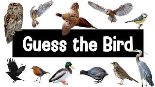 Guess the Bird  30 British Bird Calls [upl. by Emogene]