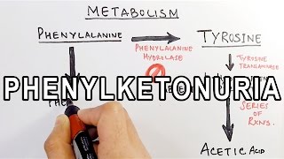 Phenylketonuria  Biochemistry amp Genetics [upl. by Etteoj661]