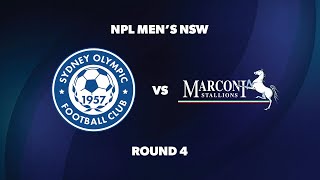 NPL Men’s NSW Round 4 Sydney Olympic FC v Marconi Stallions FC [upl. by Kabab]