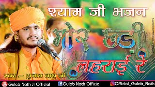 Gulab Nath Ji  मोर छड़ी लहराई रे  Shyam Baba Bhajan  New Shyam Baba Bhajan [upl. by Aleiram559]