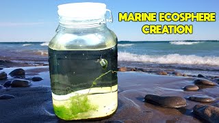 Creating a SALTWATER Ecosphere │ Marine Ecosystem in a JAR [upl. by Adnar]