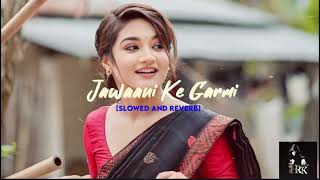 Jawaani Ke Garmi  SLOWED AND REVERB  Bhojpuri Song [upl. by Wehhtam735]