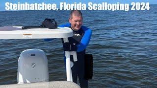 Steinhatchee Florida Scalloping 2024 [upl. by Sillad]