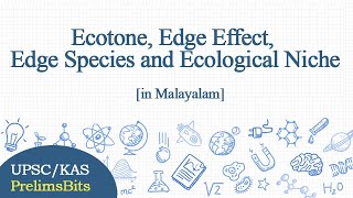 Ecotone Edge Effect Edge Species and Ecological Niche [upl. by Dedie782]