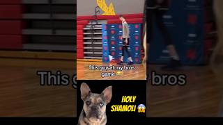 Meet the NBA Giant A 78quot Prodigy Reaction 🏀😲 dogs nba sports funny [upl. by Pasahow348]