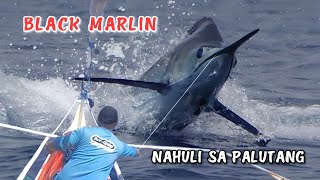 BLACK MARLIN IN WEST PHILIPPINE SEA  NAHULI SA PALUTANG  JACKPOT CATCHampSELL [upl. by Naida]