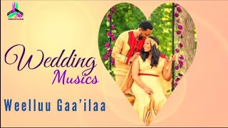 Sirboota Gaailaa  Best Afan Oromo  Wedding Musics [upl. by Anyer]