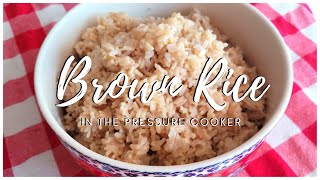 HOW TO MAKE BROWN RICE IN THE NINJA FOODI PRESSURE COOKER  EASY amp FAIL PROOF [upl. by Aneled]