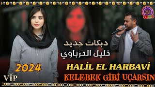 Halil Harbavi  Kelebek Gibi Uçarsın 2024 amp دبكات جديد الفنان خليل الحرباوي [upl. by Neom]