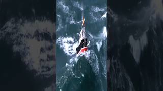 Boat vs Giant Ocean Waves 😱 Surviving Natures Fury shorts ocean northsea whale waves ship [upl. by Brout143]