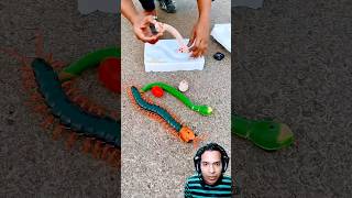 Remote control snake rcsnake remotecontrol shorts [upl. by Sukramal]