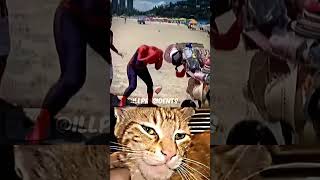 Whats Wrong Spiderman 🕸 treadingshorts memes trollface fypシ゚viral [upl. by Nesiaj]