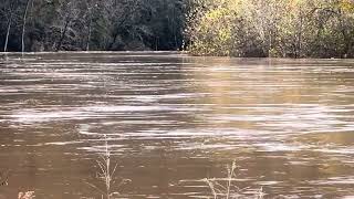 Meramec River on the rise after 7 inches of rain [upl. by Idham]