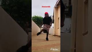 amapiano dance challenge anacondaviral [upl. by Heck]