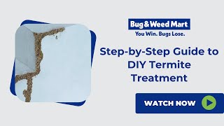 StepbyStep Guide to DIY Termite Treatment [upl. by Acinoed]